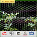 Aviary fence 50mm holes, garden mesh for chicken wire China Manufacturer